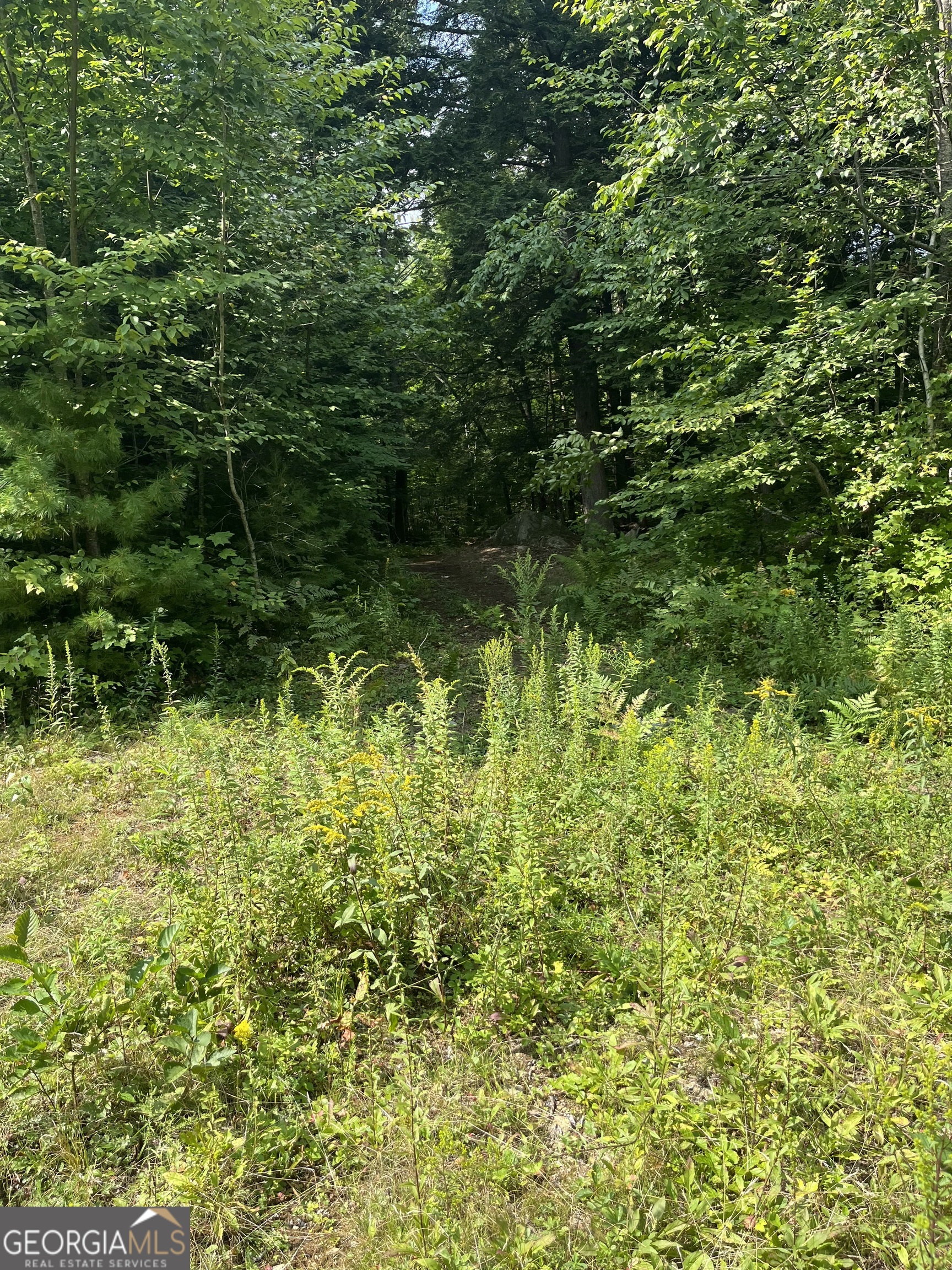 366 Shore Crest Drive Property Photo