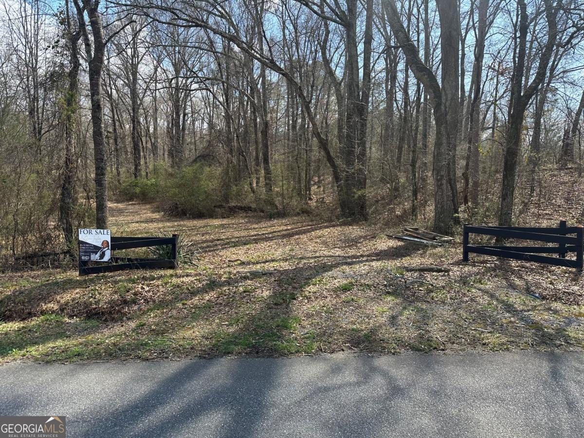 0 Pine Mountain Road Property Photo