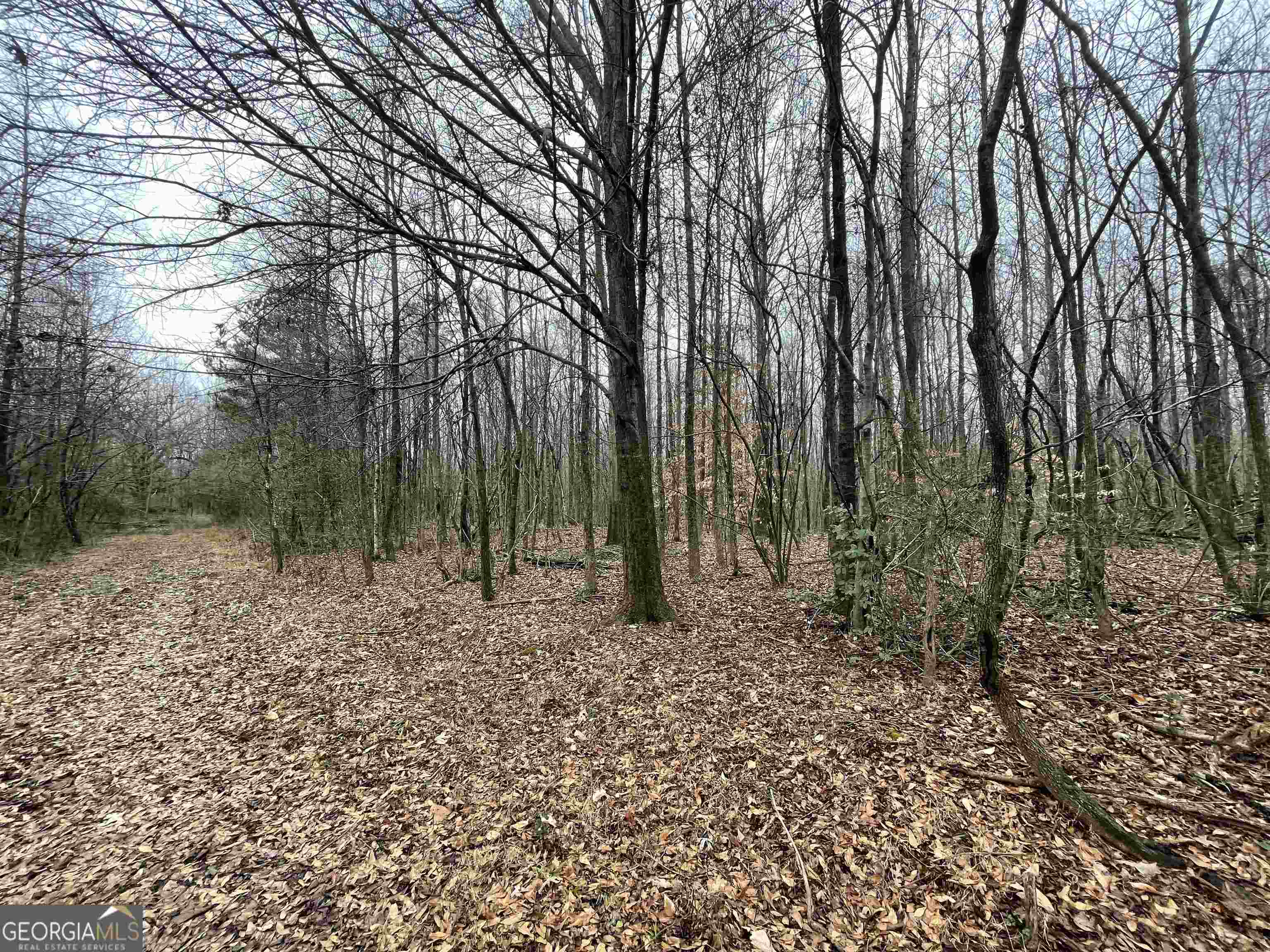 0 Holiness Campground Road Property Photo