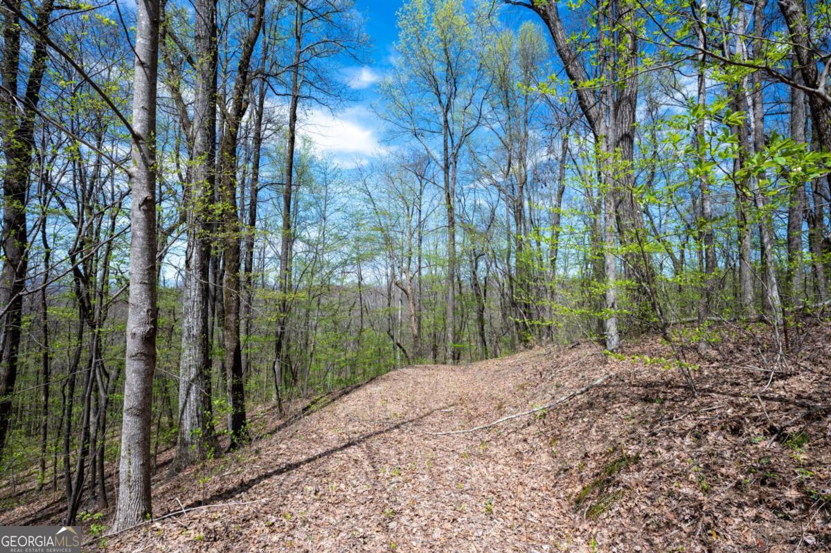 Kentucky Real Estate Listings Main Image