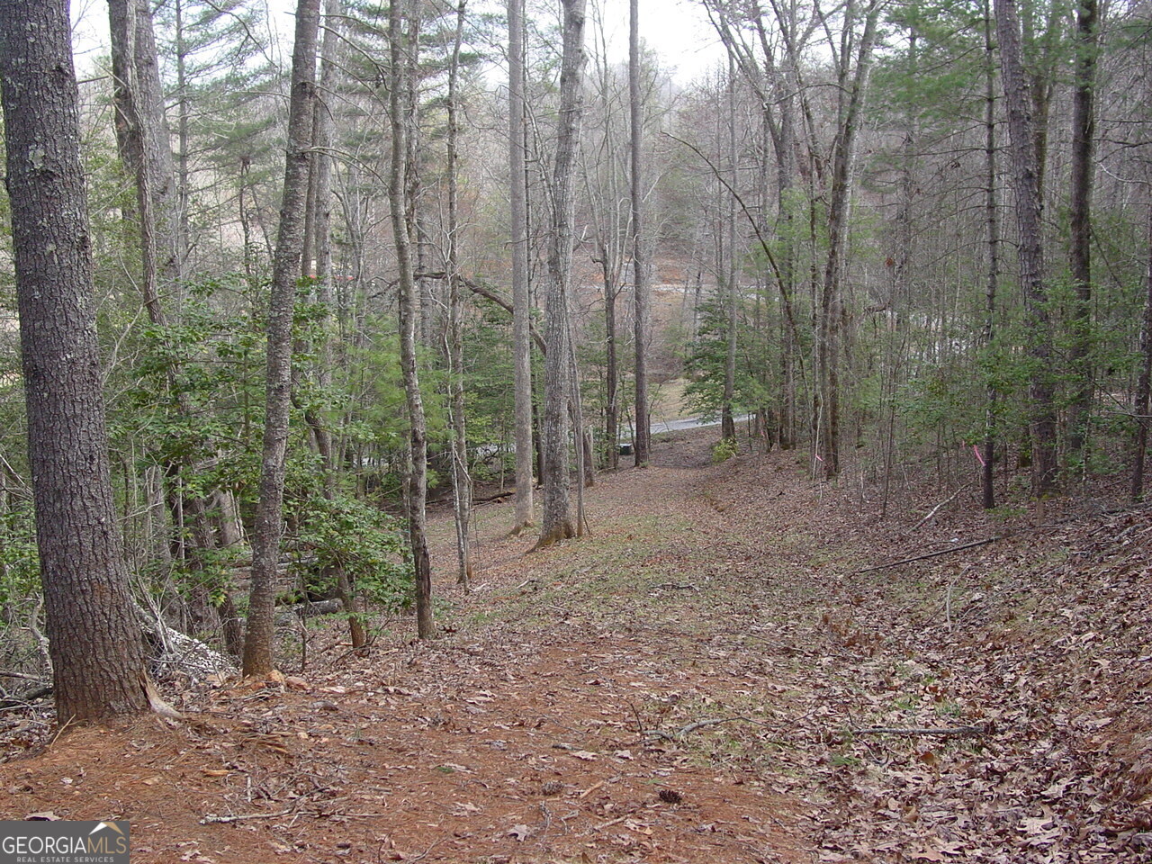 Tract 3 Hf Lyons Road Property Photo