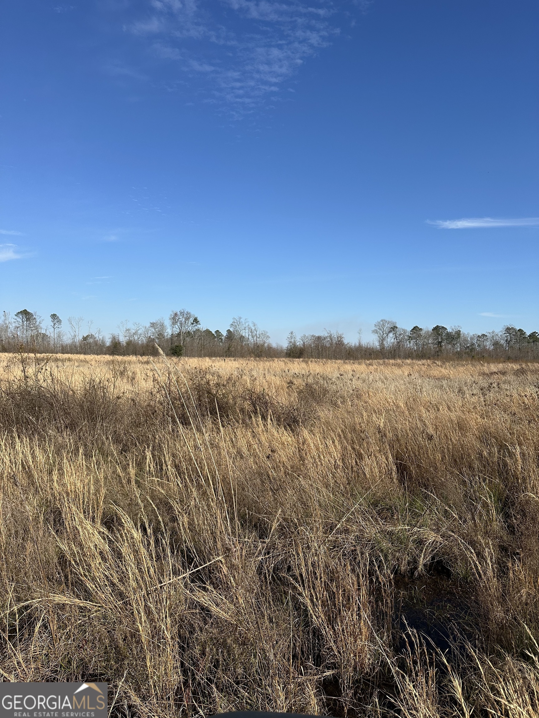 30442 Real Estate Listings Main Image