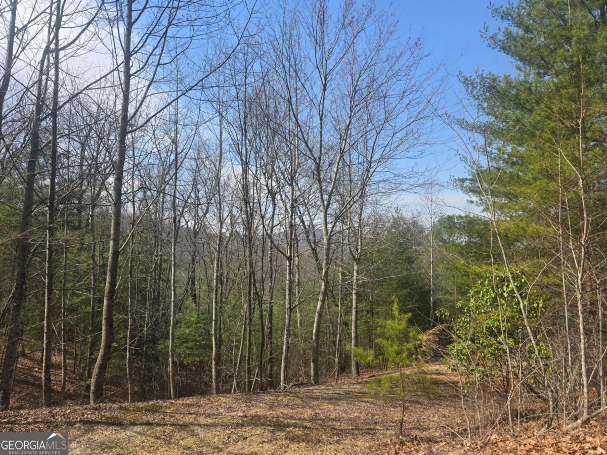 8 & 9 Up The Ridge Road Property Photo