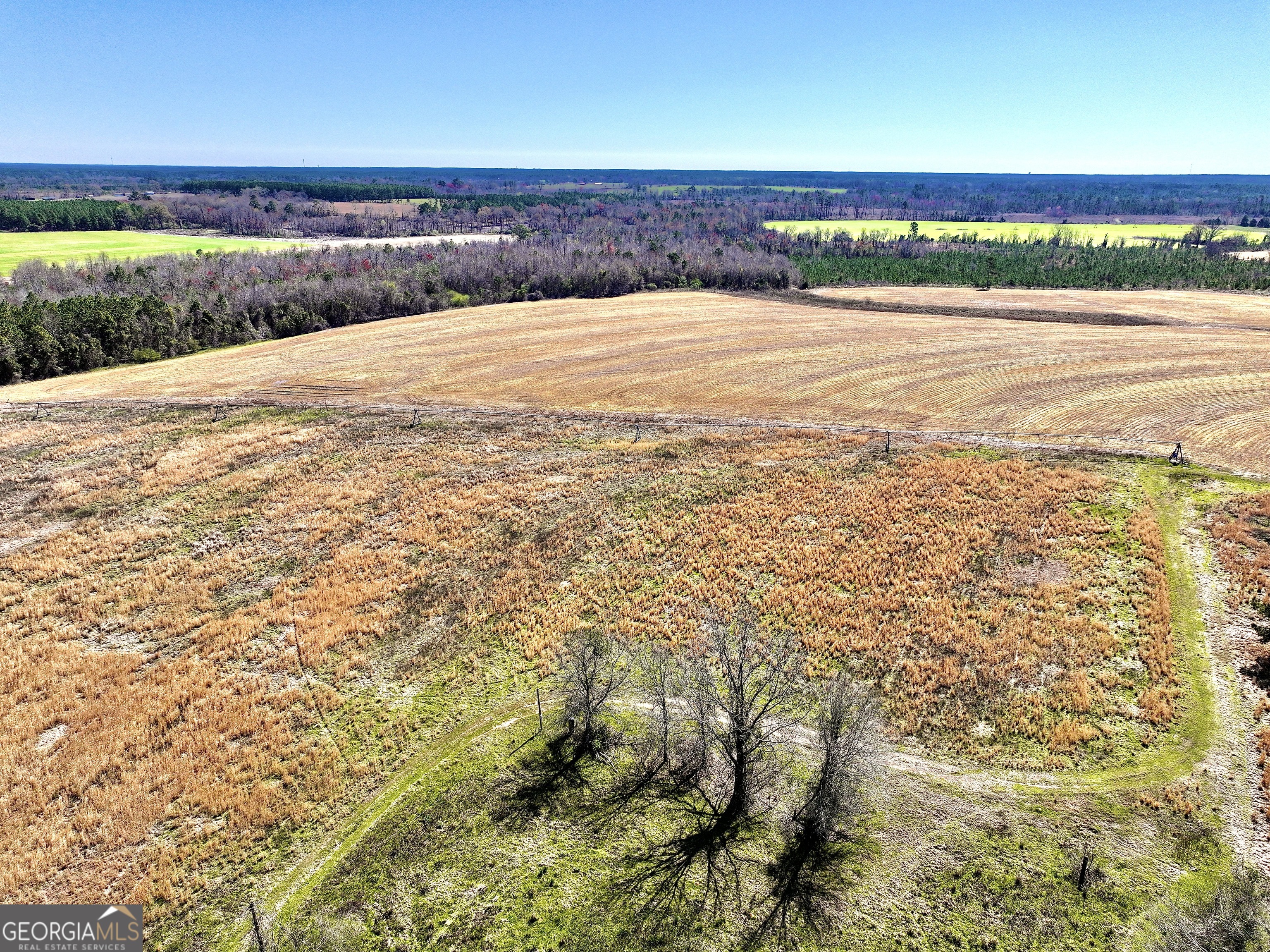 2819 Stripling Road Property Photo