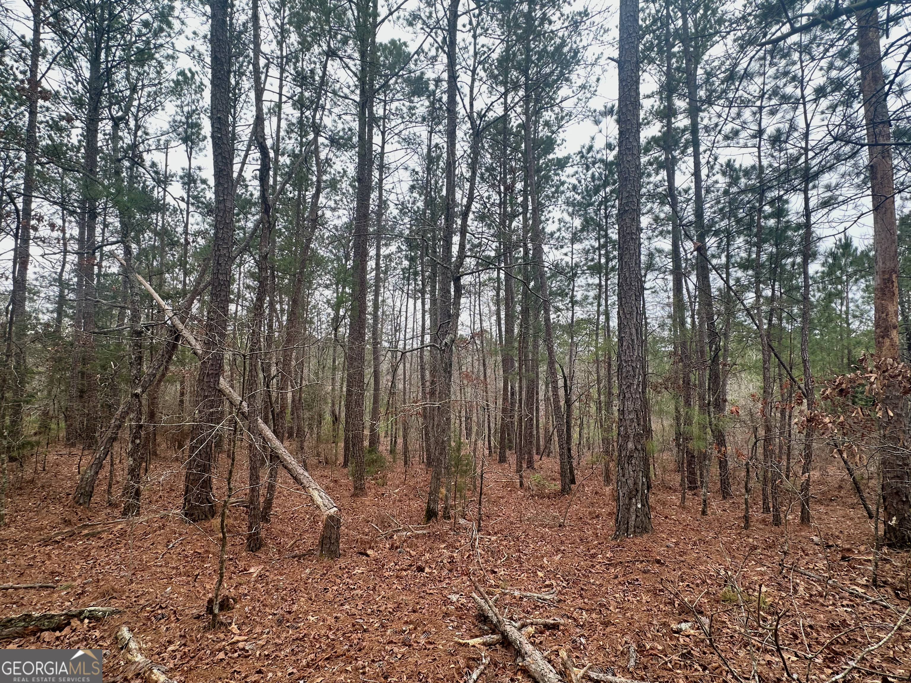 0 Rock Quarry Rd 35.55 Acres +/- Property Photo