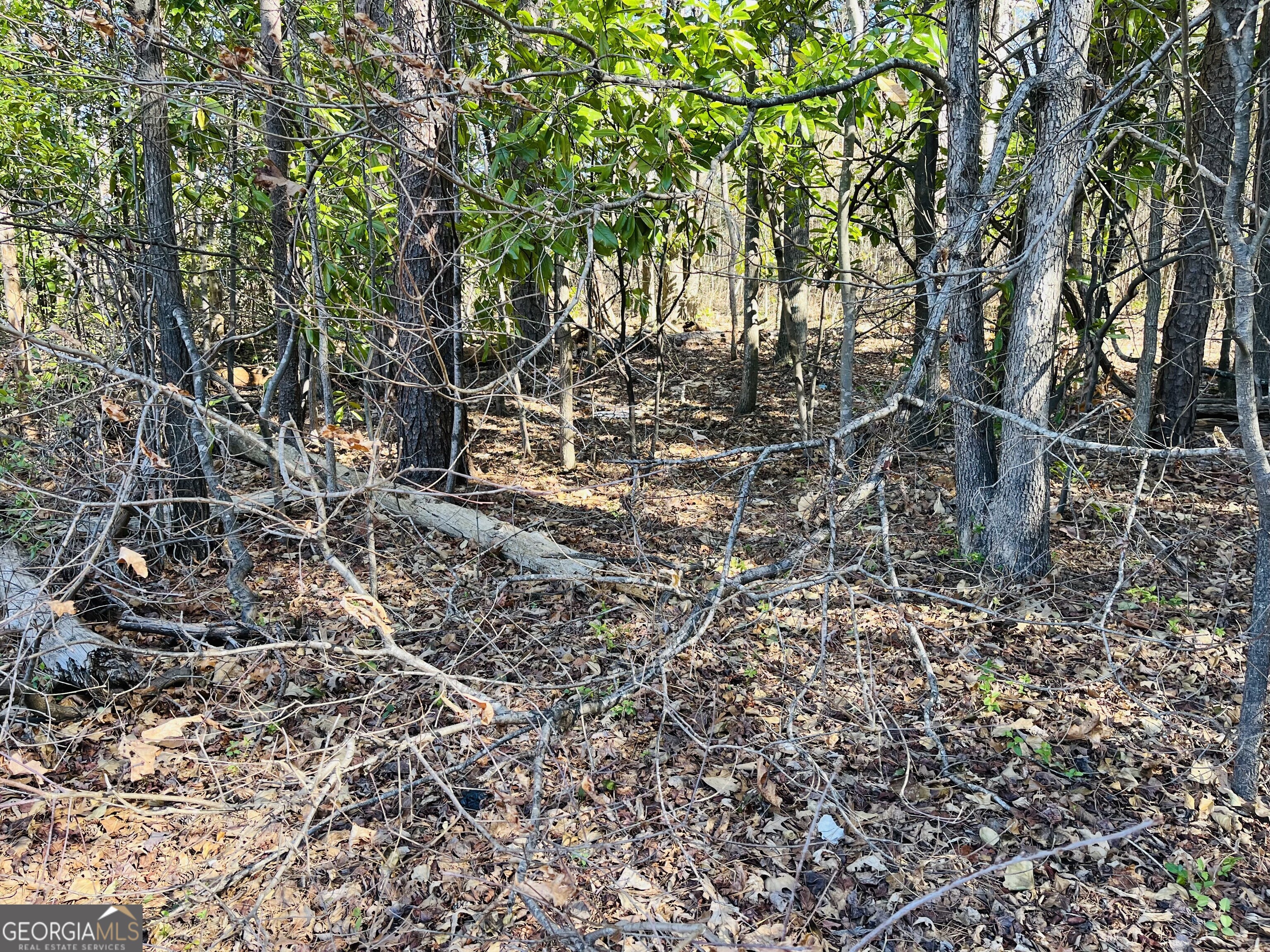 0 Black Mountain Road Property Photo