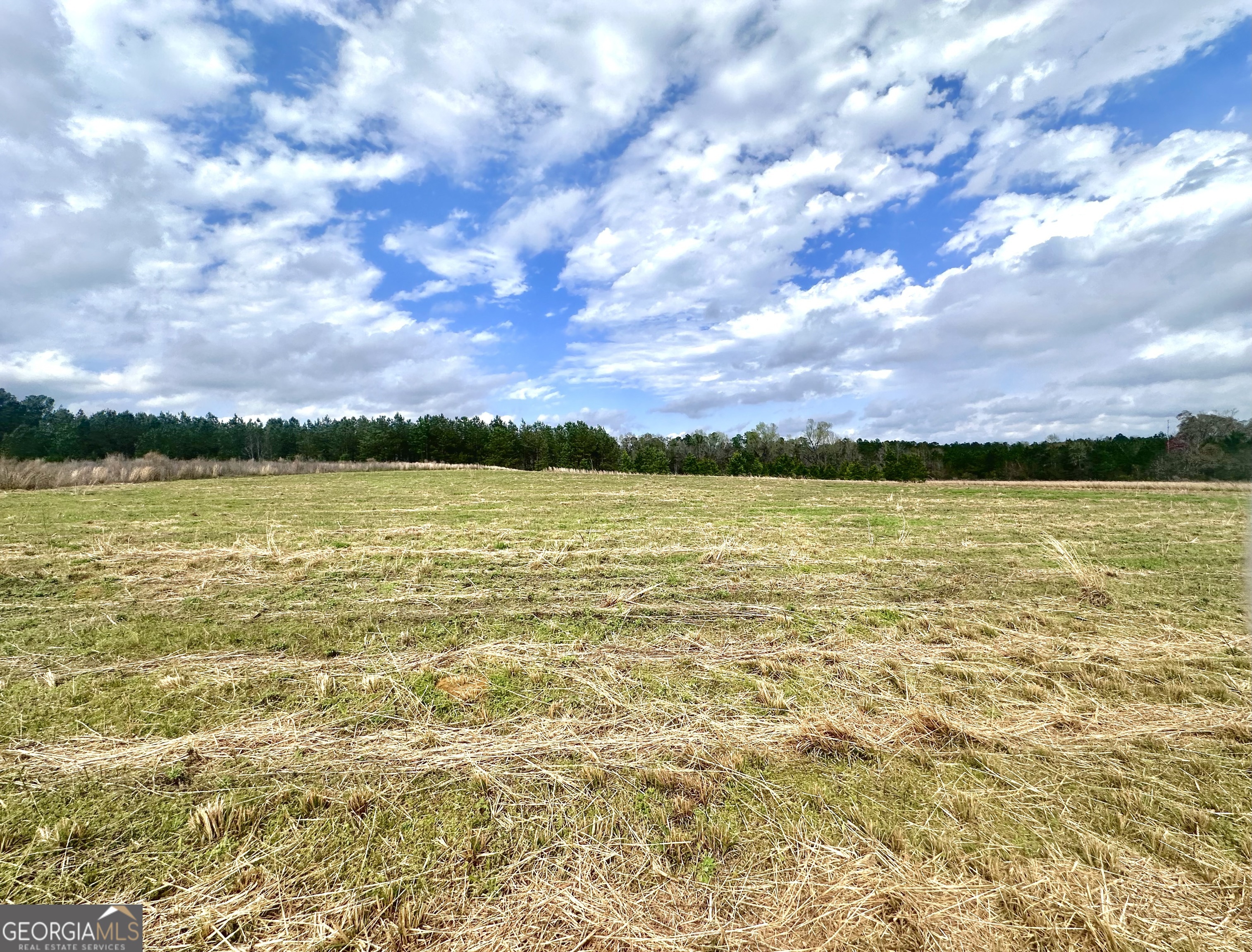 3167 Jason Franklin Rd Property Photo
