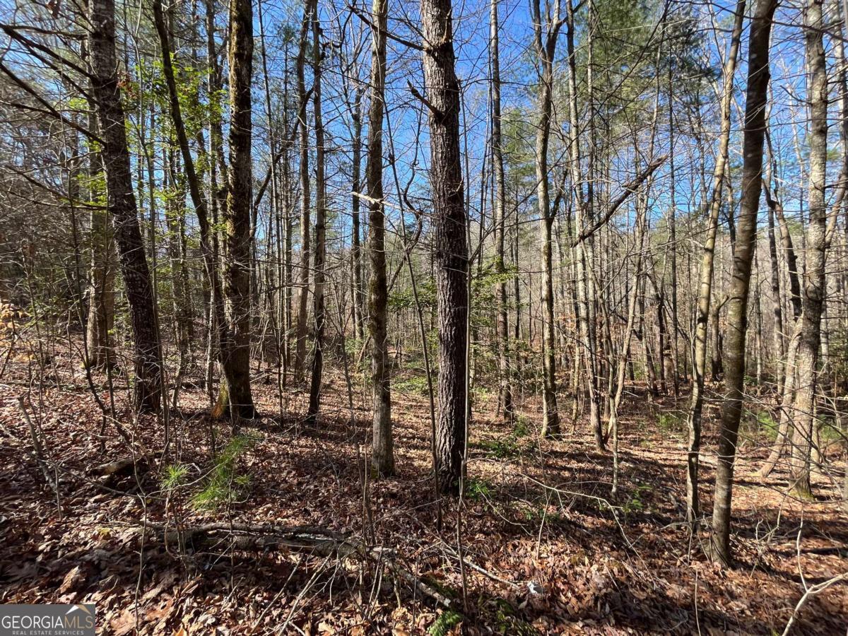 Lot 269 Cajun Lane Property Photo