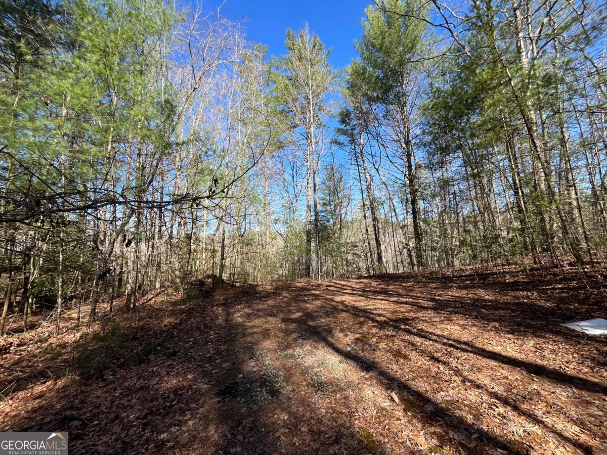 Lot 268 Cajun Lane # 268 Property Photo