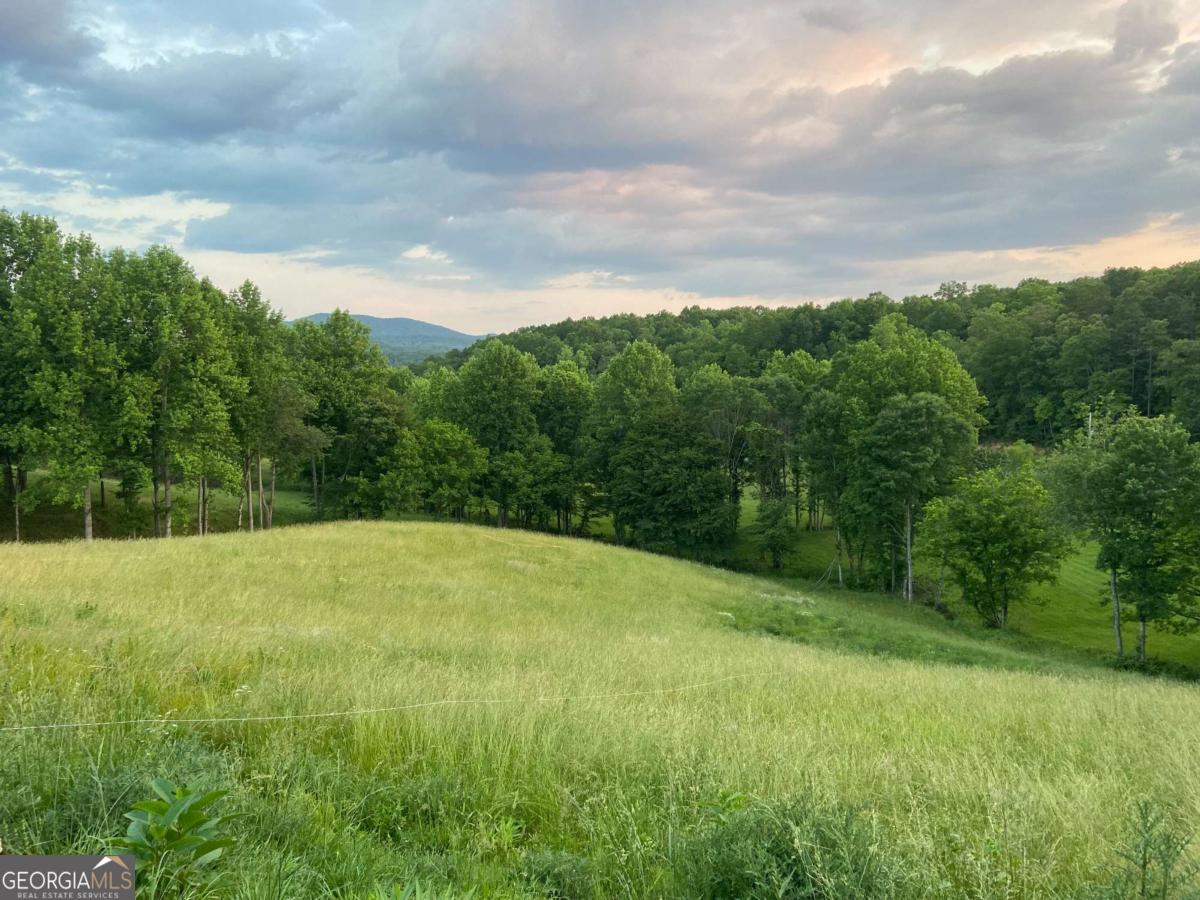 Lot 22 Lower Ridge Trail Property Photo 1