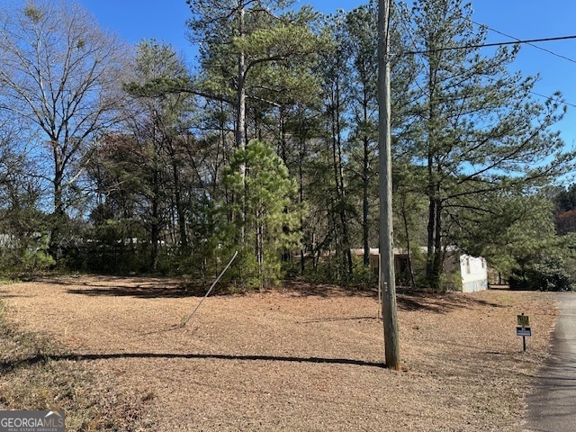 11822 Ga Hwy 92 Property Photo 3