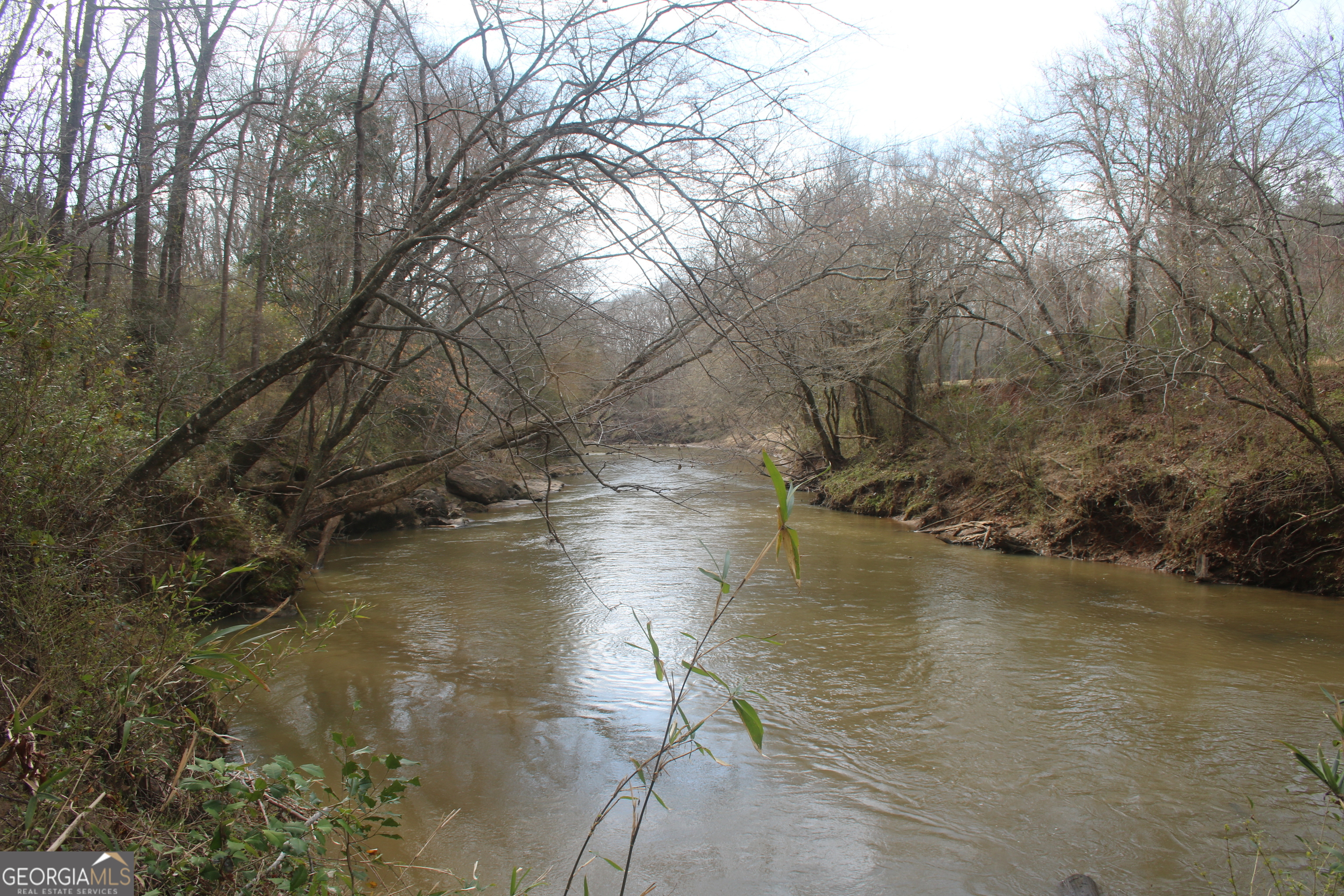1087 Highway 145 Property Photo