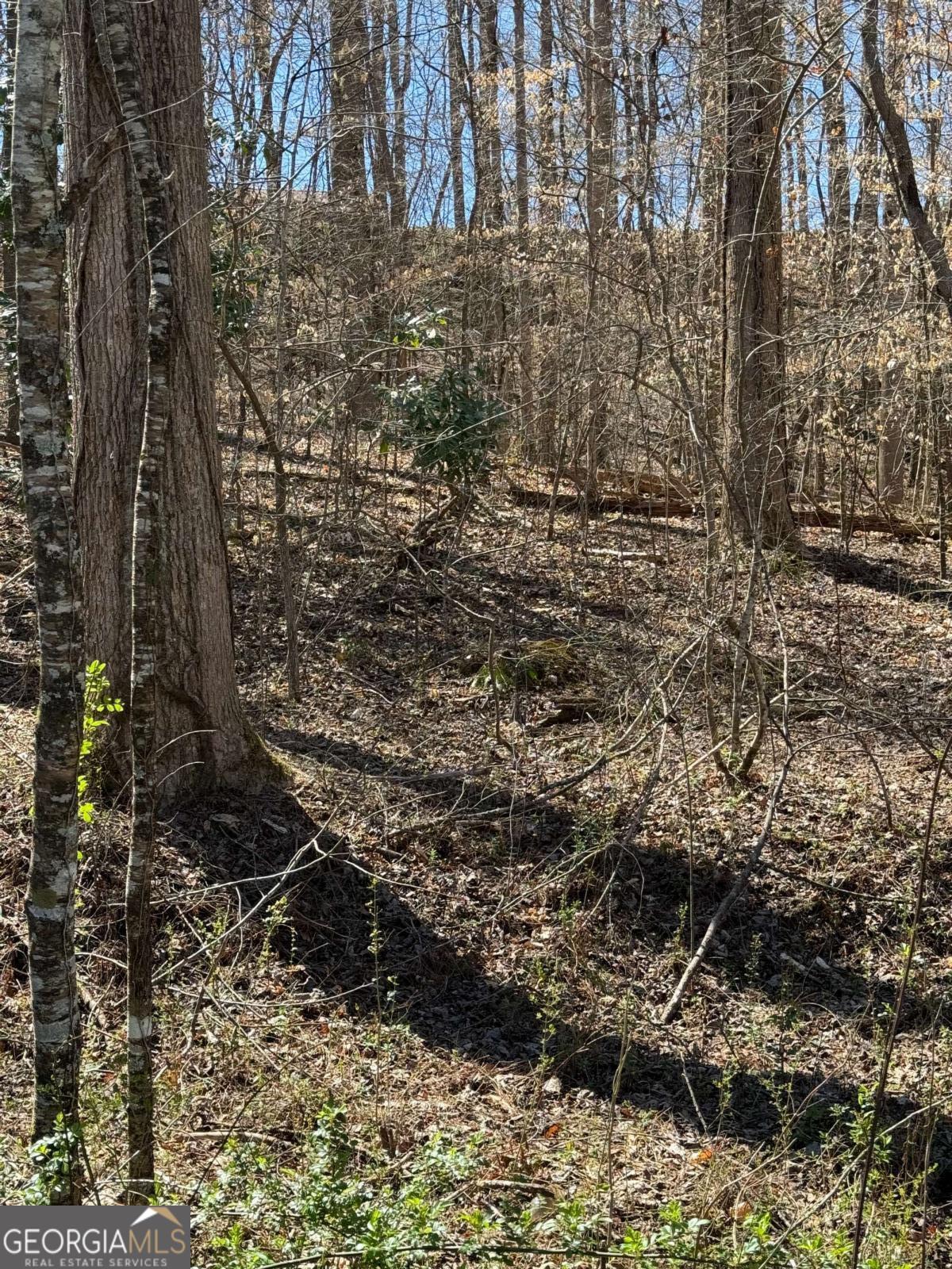 0 Martin Head Circle Property Photo 1