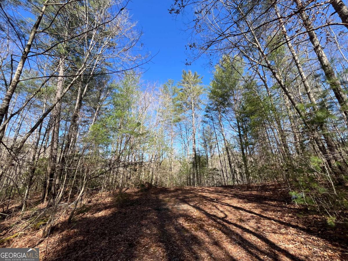 Lot 267 Cajun Lane Property Photo