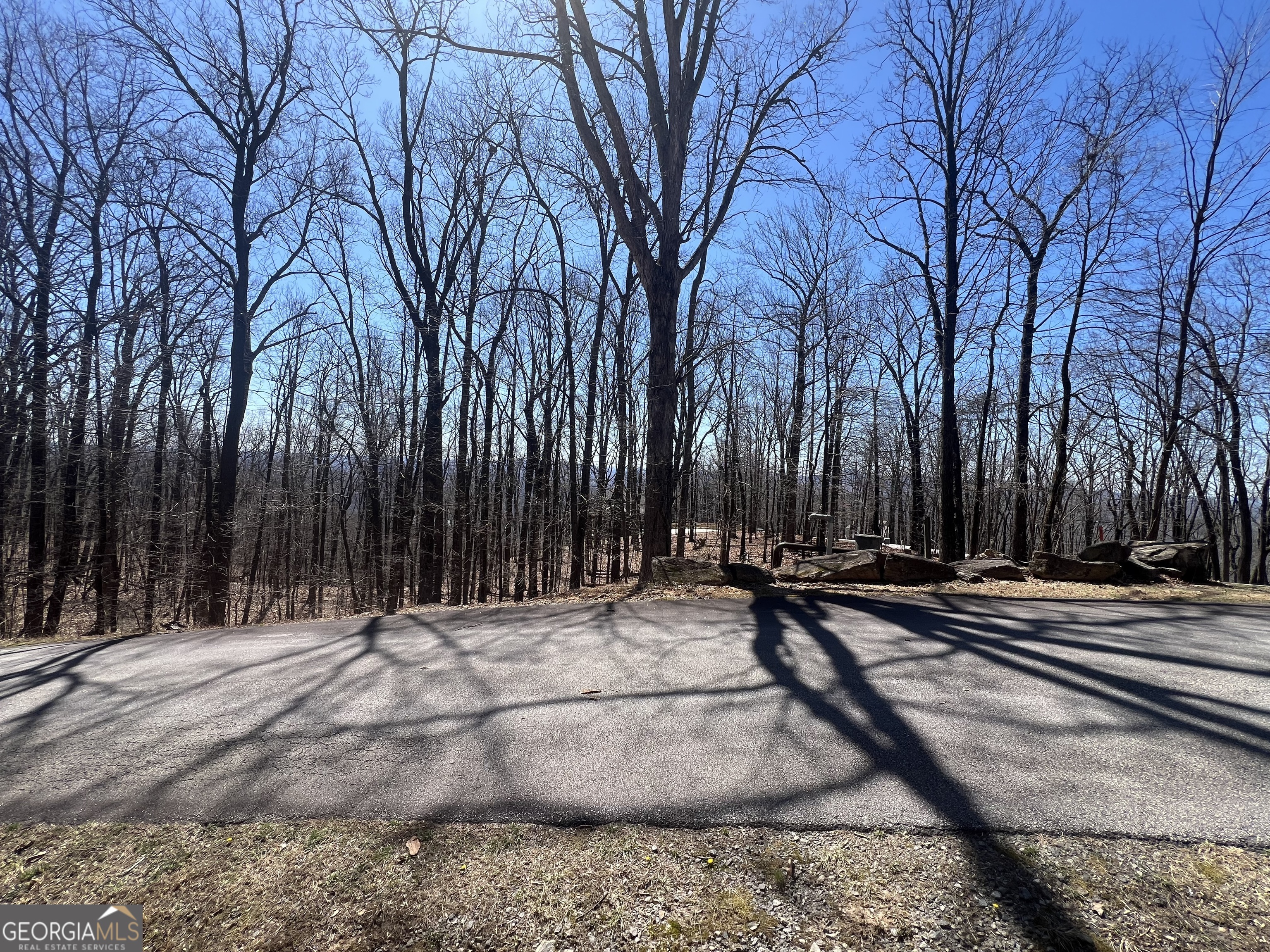 58 Mountainside Drive Property Photo 3