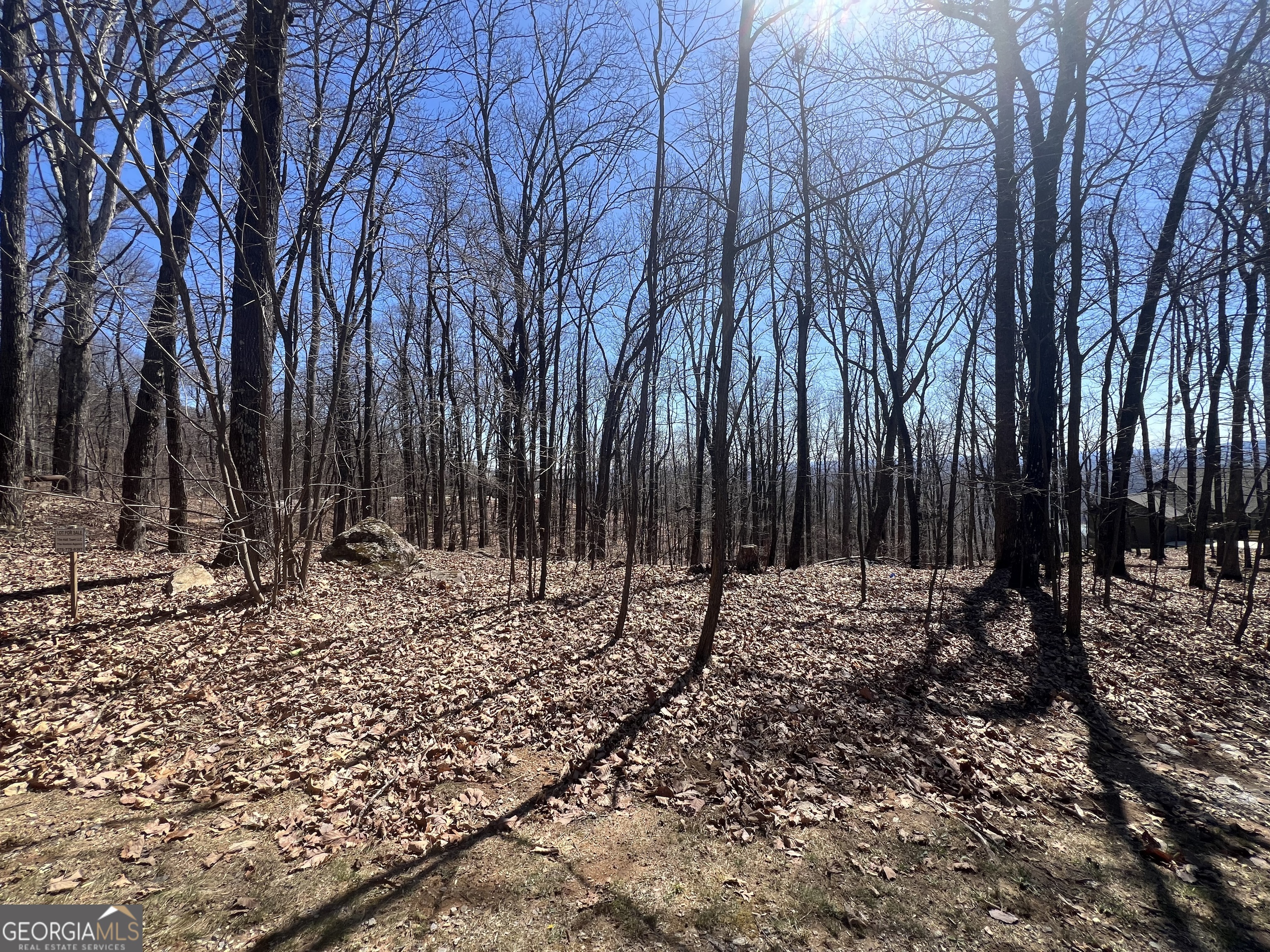 58 Mountainside Drive Property Photo 4