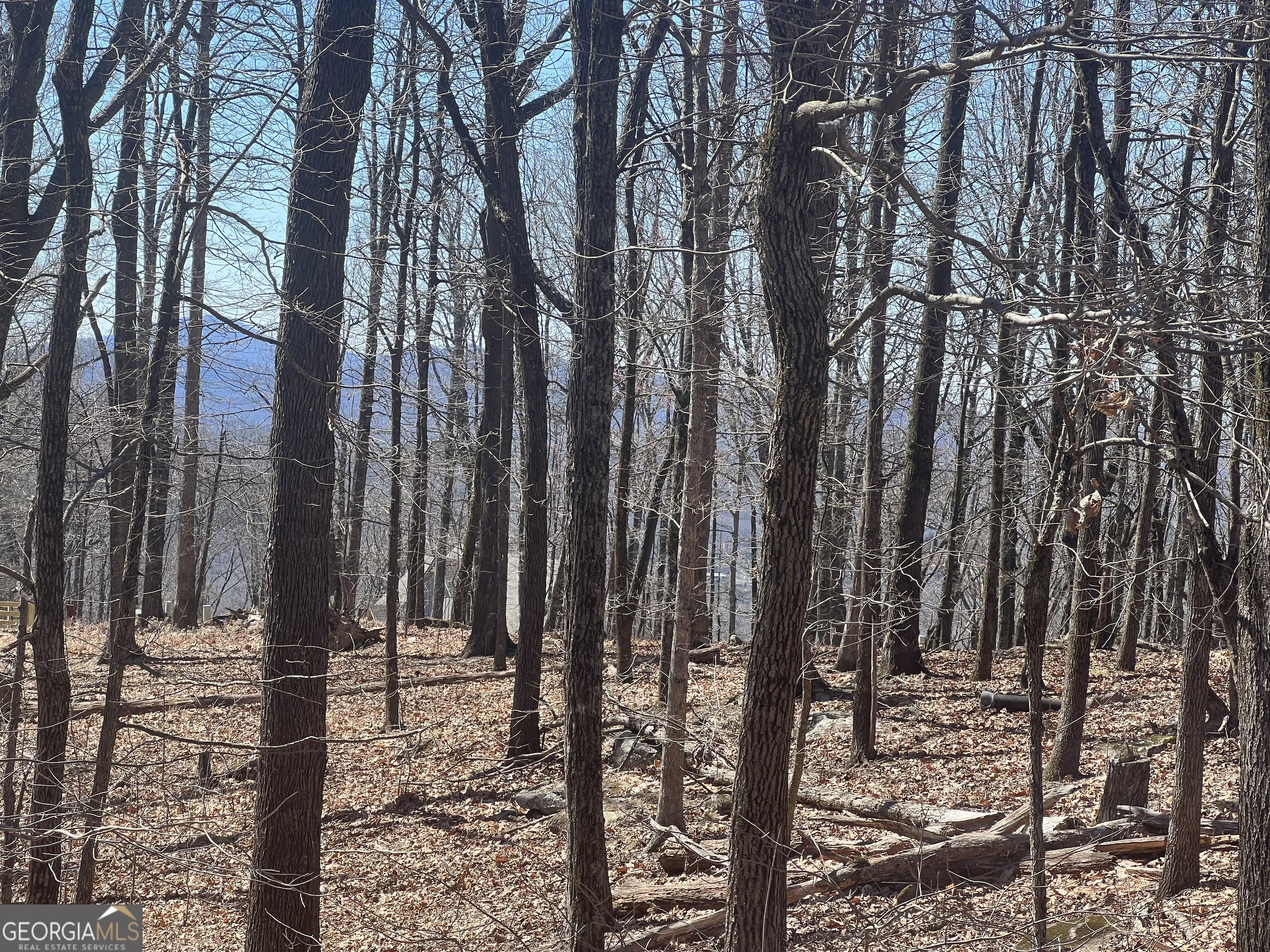 58 Mountainside Drive Property Photo 6