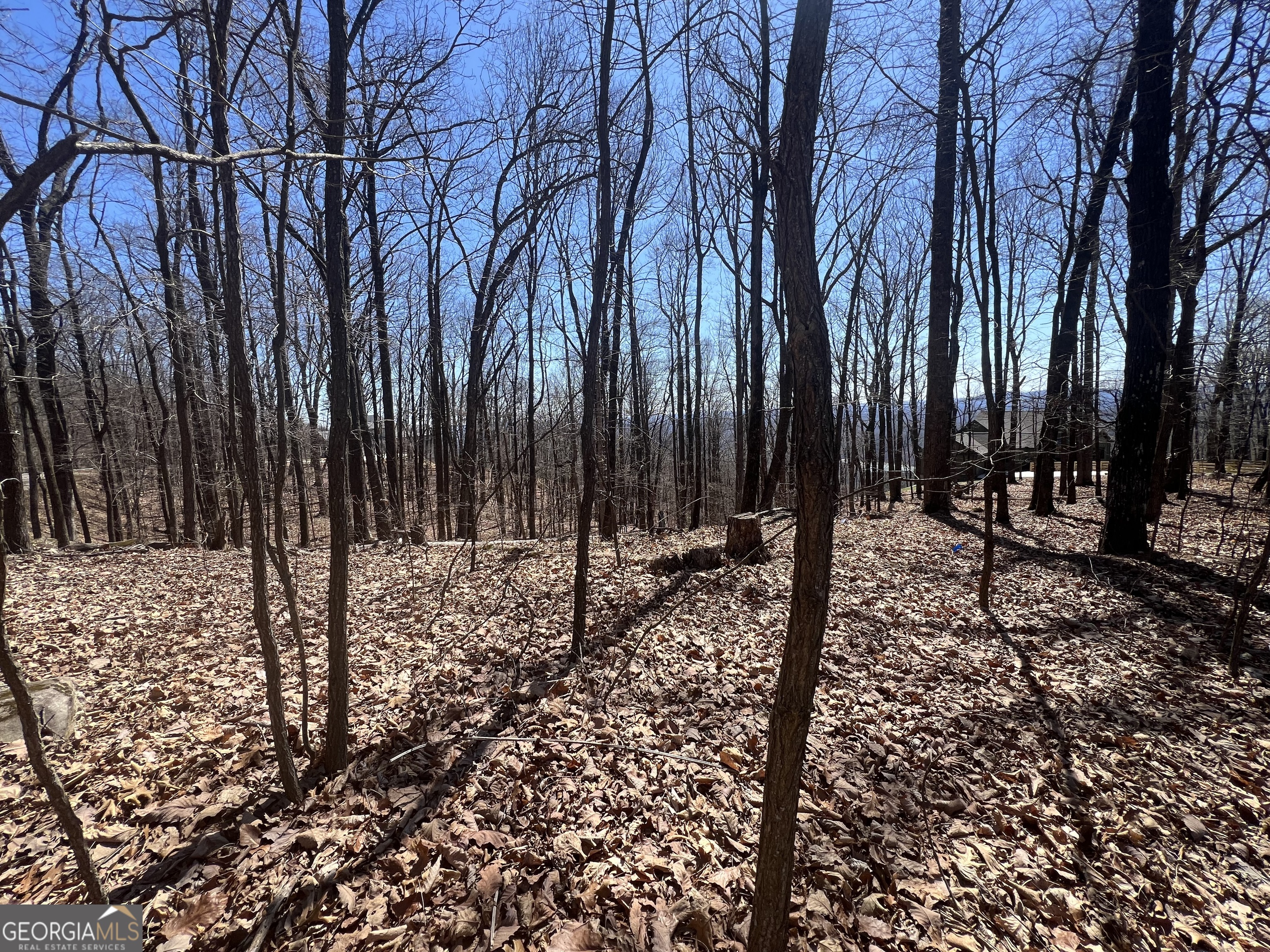 58 Mountainside Drive Property Photo 8