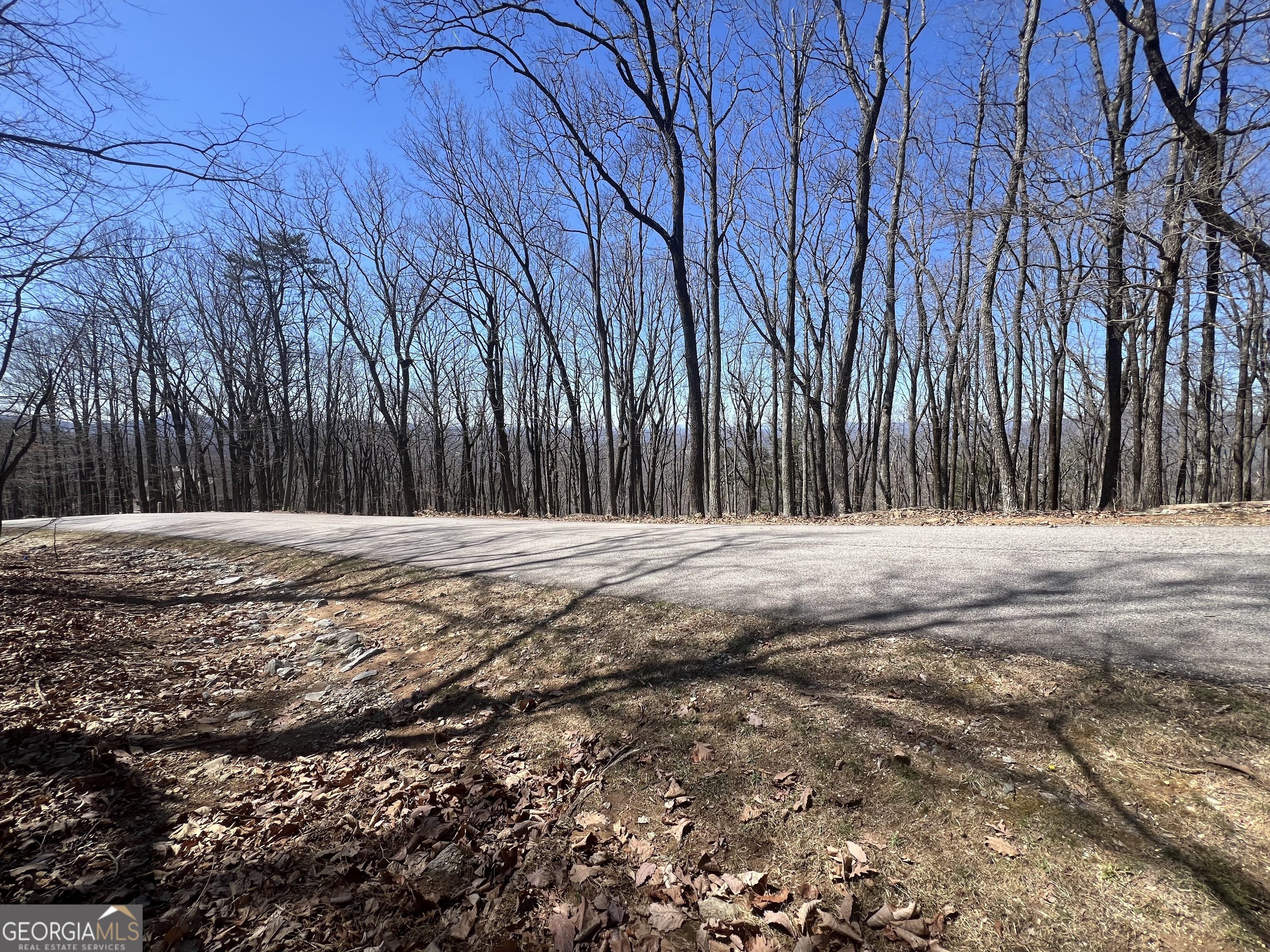 58 Mountainside Drive Property Photo 9