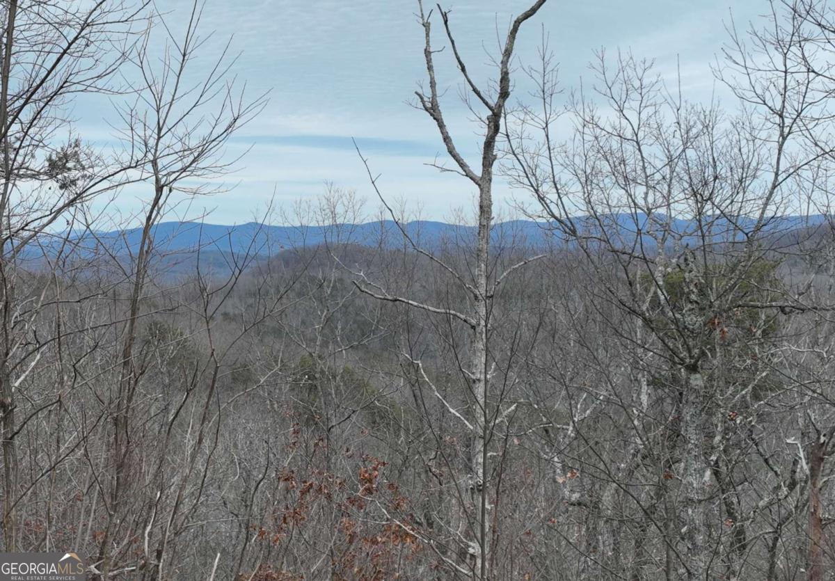 235 Andes Ridge Drive Property Photo 1