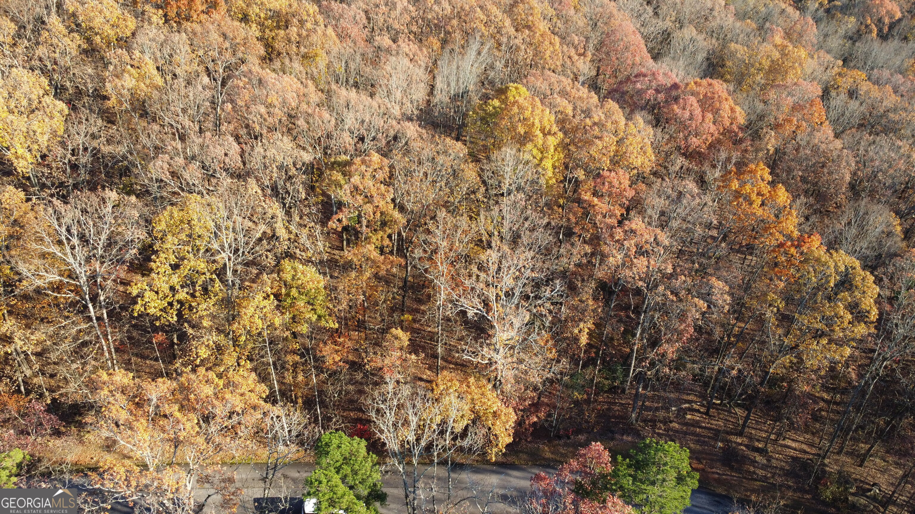 Lot 63 Mountainside Drive Property Photo