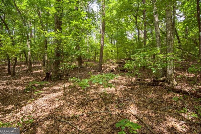 285 Bear Creek Drive Property Photo