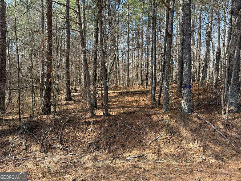 Cleburne County Real Estate Listings Main Image