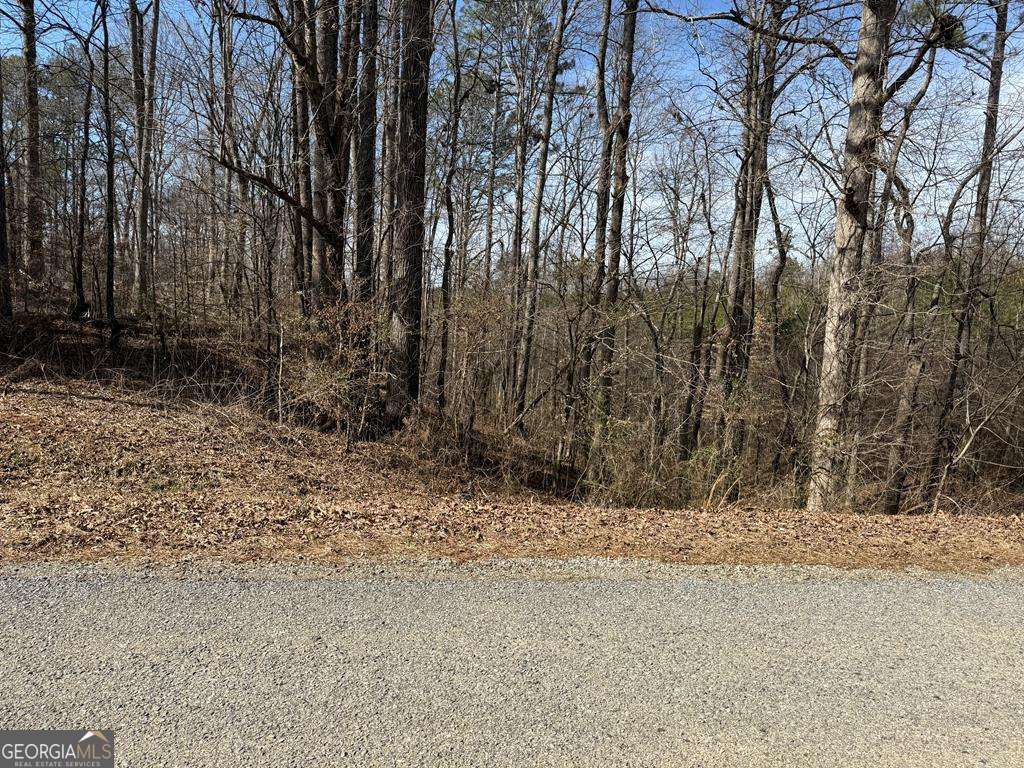 00 Co Rd 60 Property Photo