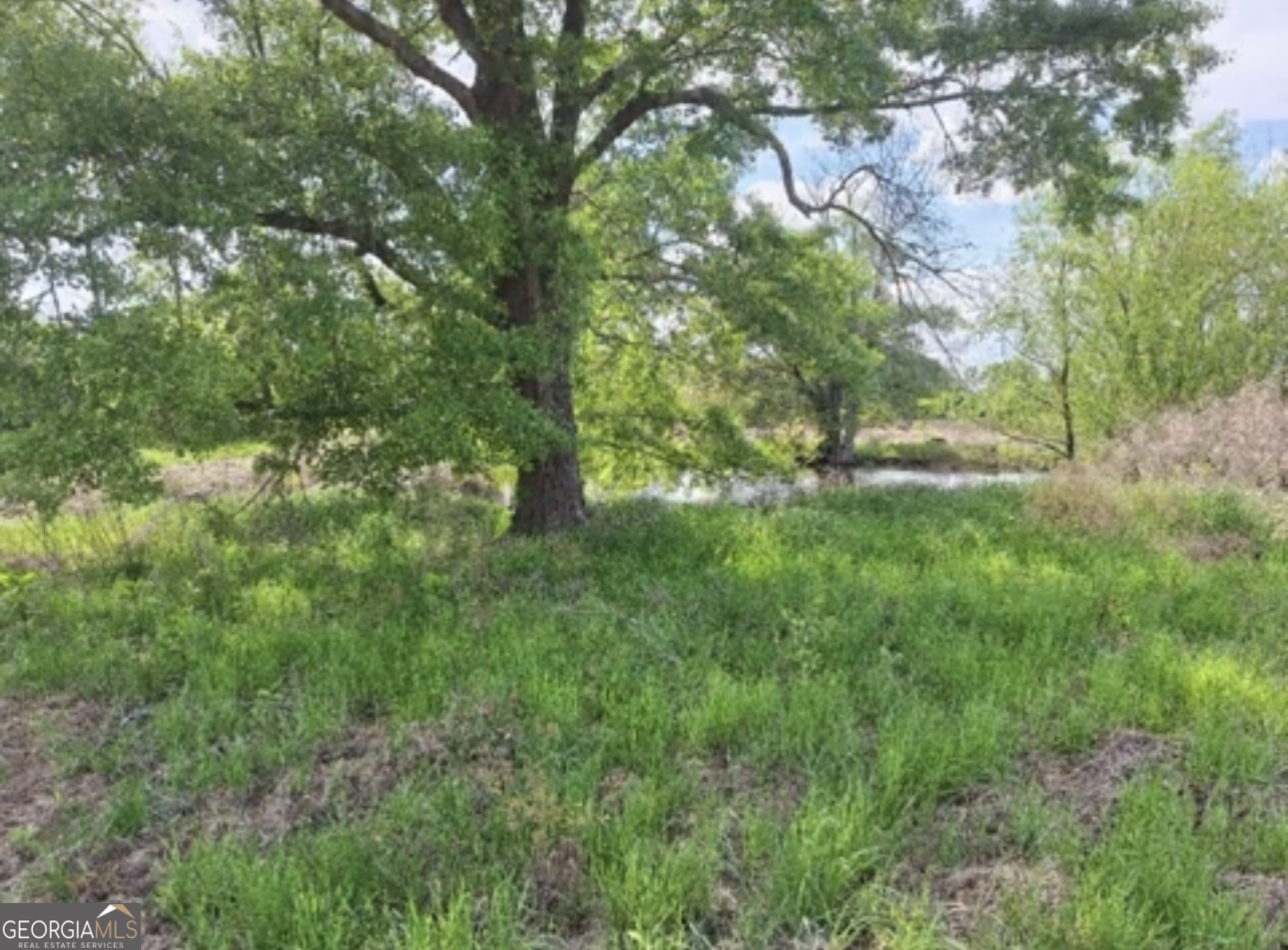 0 W Old Savannah Road # 2 Property Photo