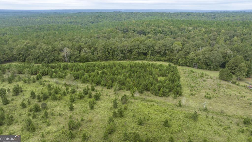 1636 Tribble Road Property Photo