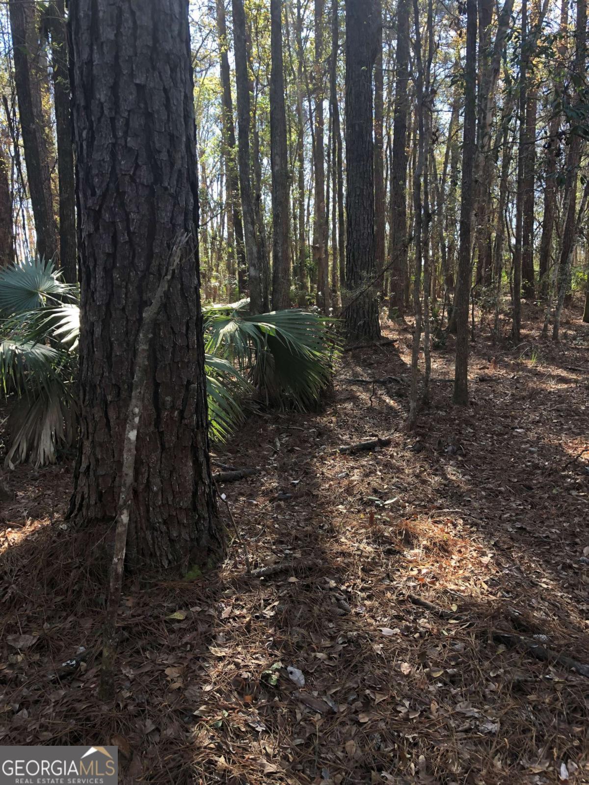0 Timber Landing Road Property Photo 1