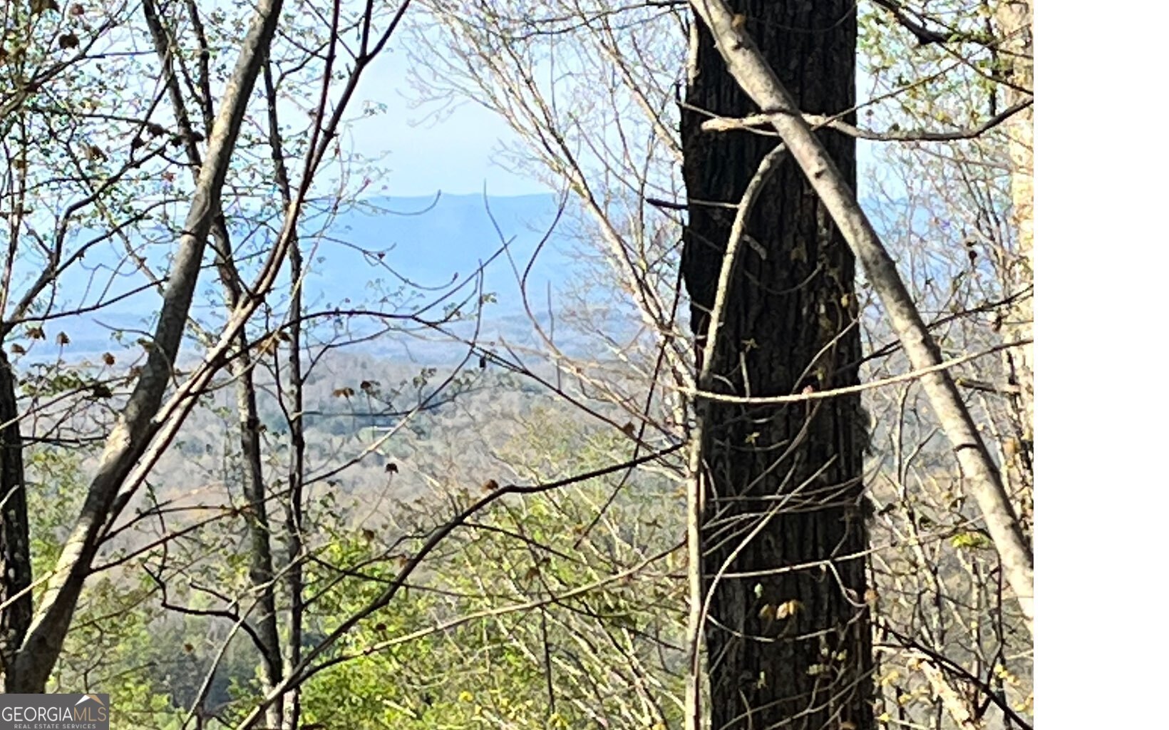 Lot 118 Croft Mtn Road Property Photo