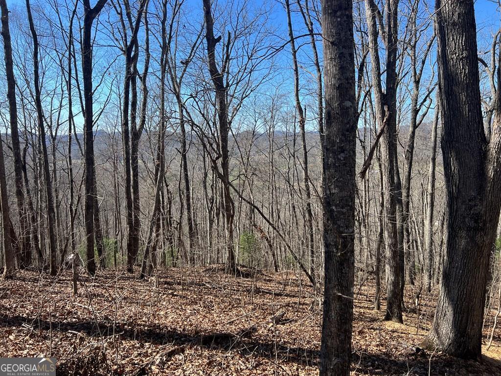 0 Wikle Road # 8 Property Photo 1