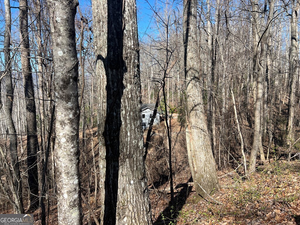 0 Wikle Road # 8 Property Photo 11