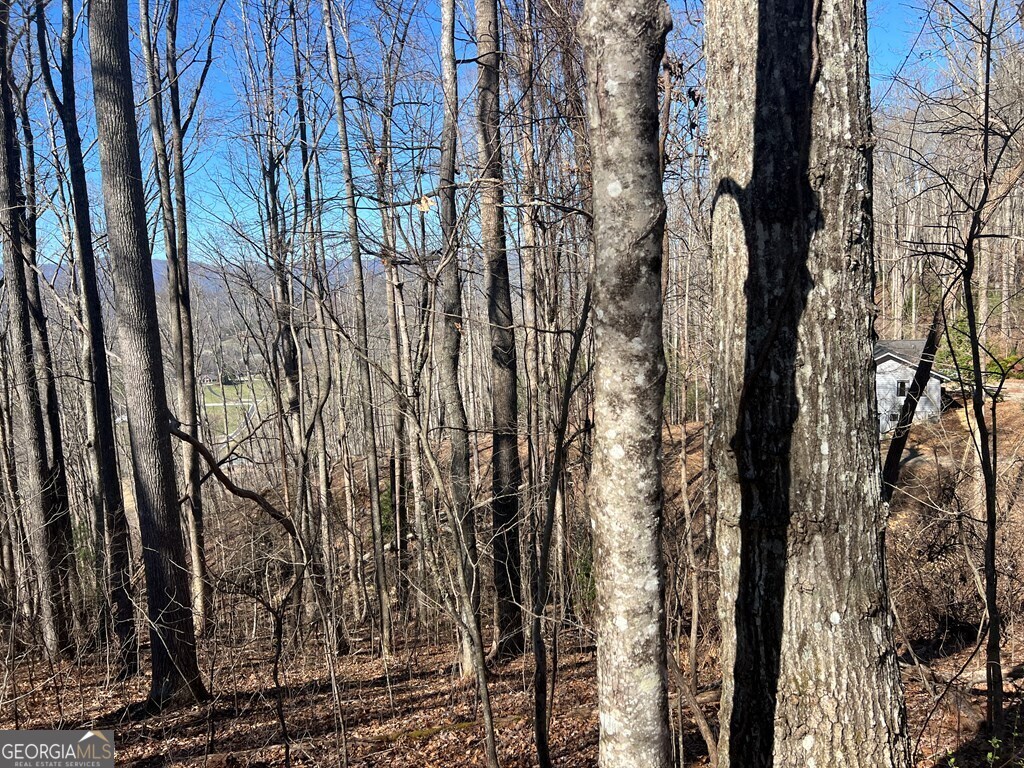 0 Wikle Road # 8 Property Photo 12
