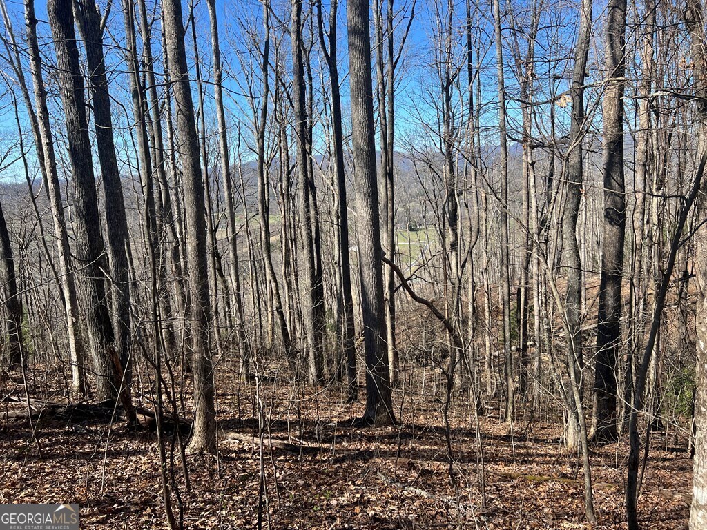 0 Wikle Road # 8 Property Photo 14