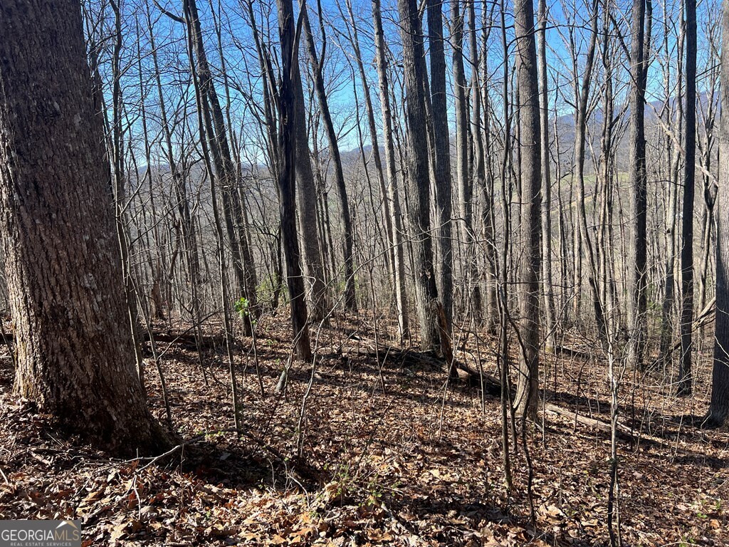 0 Wikle Road # 8 Property Photo 15