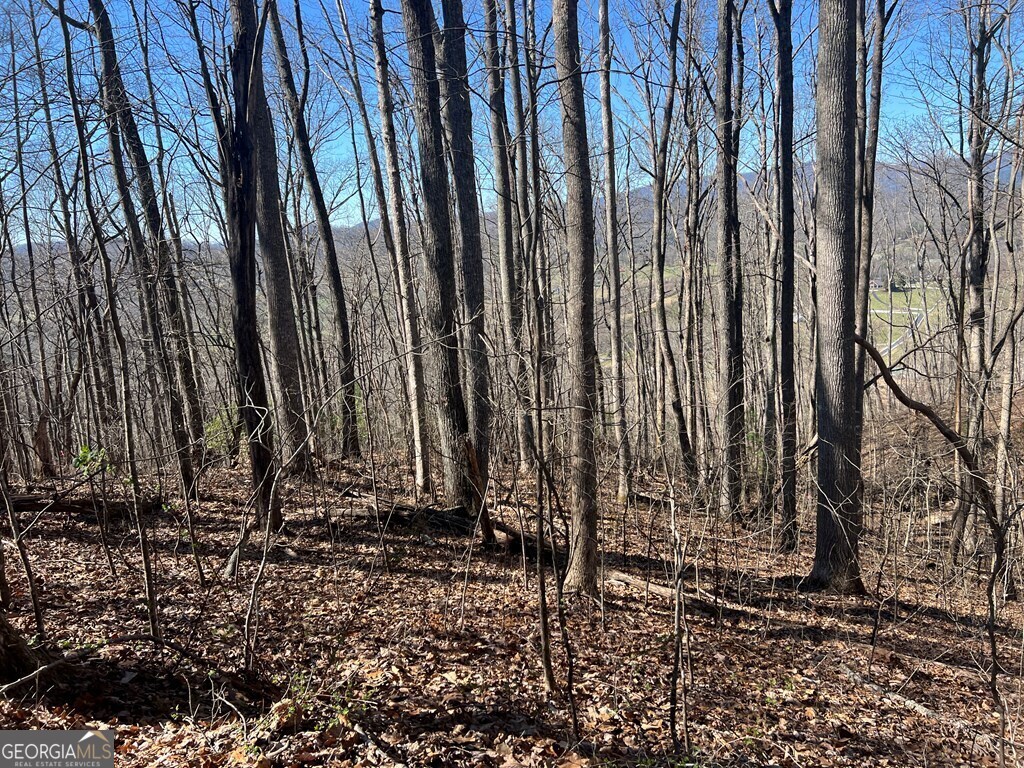 0 Wikle Road # 8 Property Photo 16
