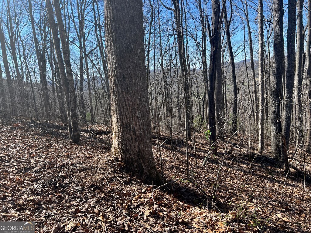 0 Wikle Road # 8 Property Photo 17