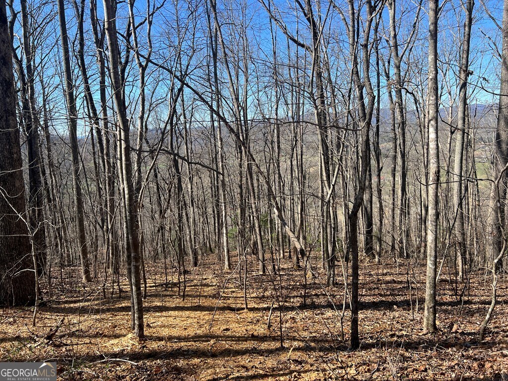 0 Wikle Road # 8 Property Photo 22