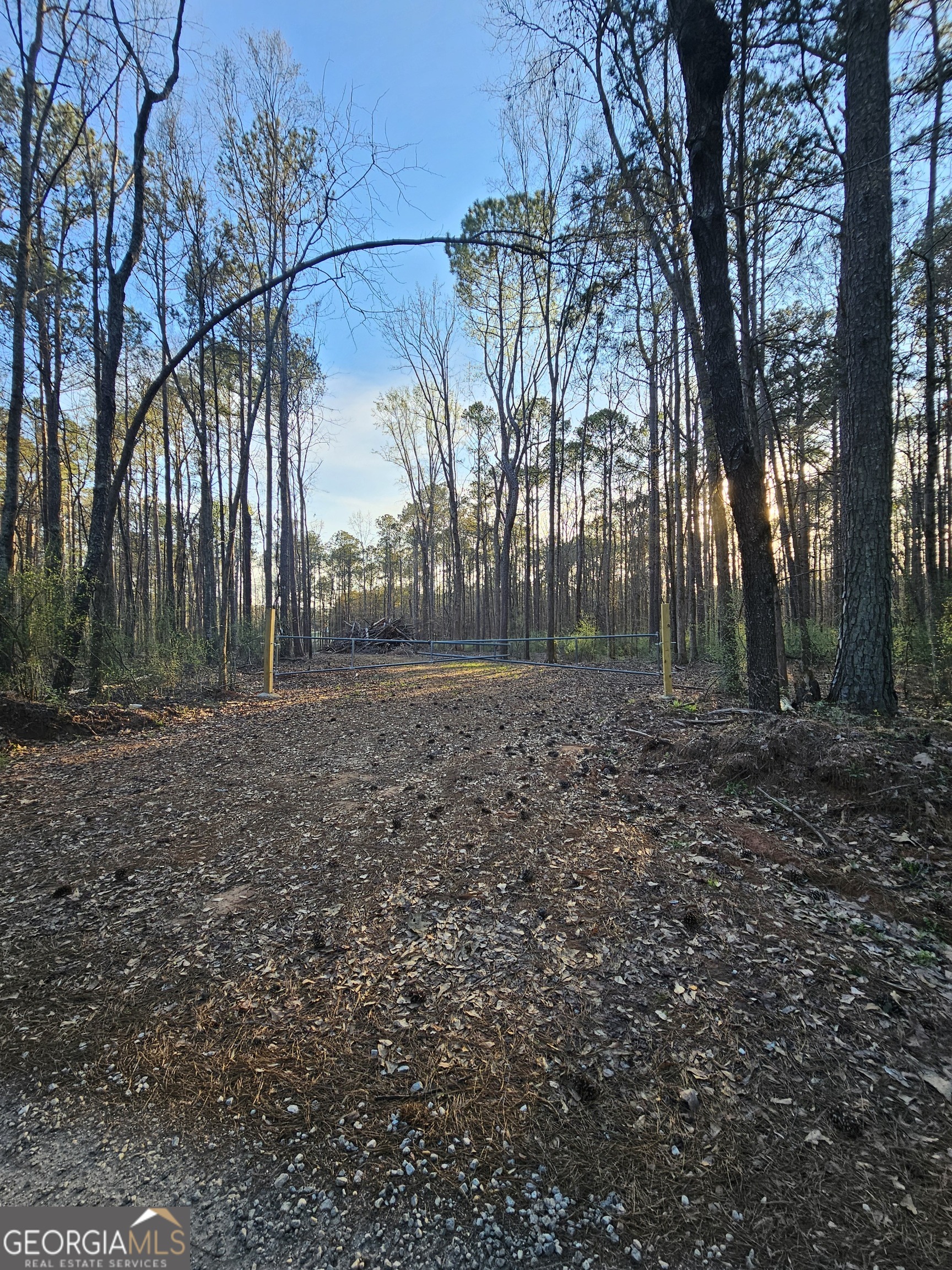9.19 Ac Gay Road Property Photo