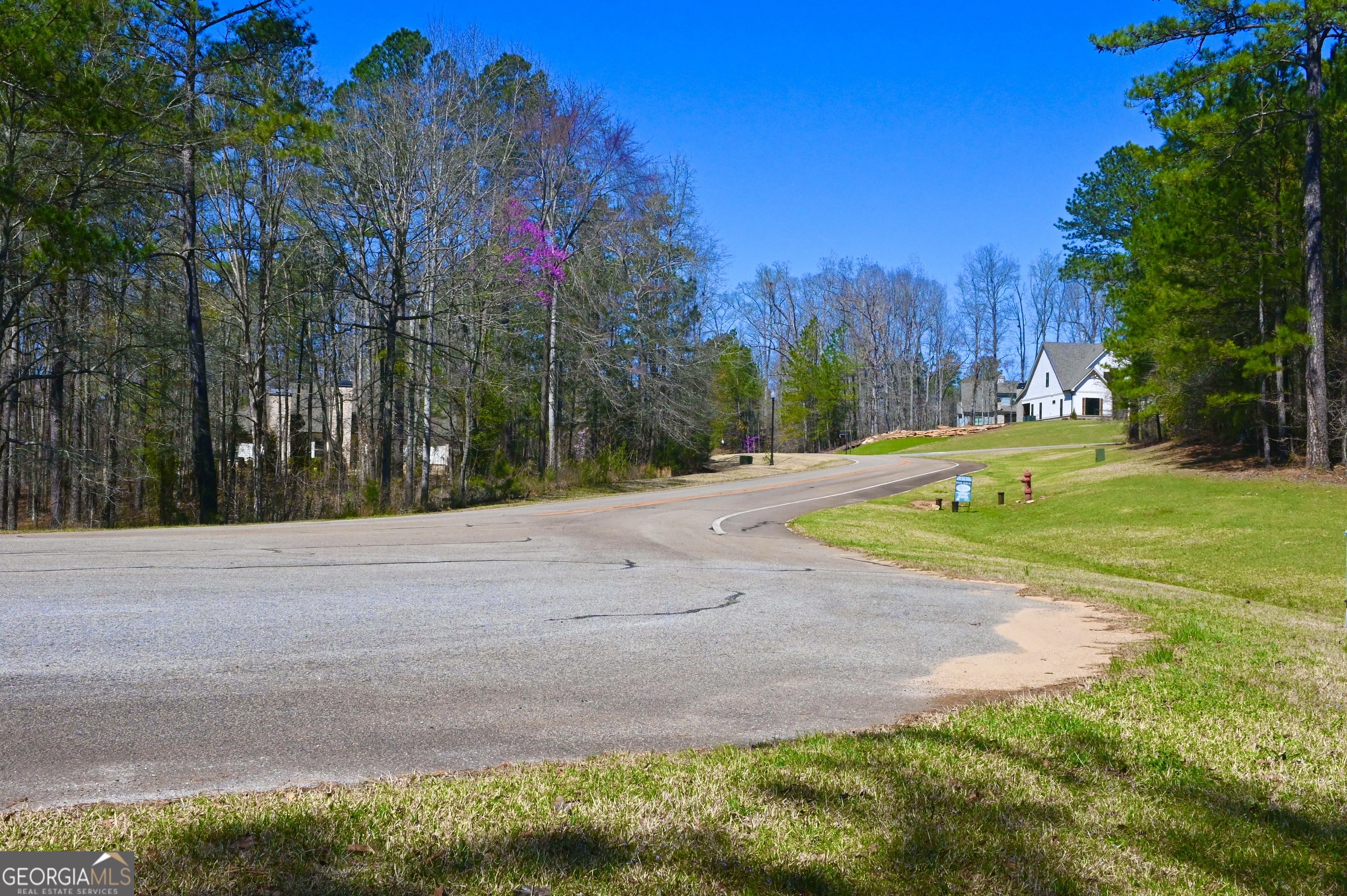 102 Forest Pointe Drive Property Photo