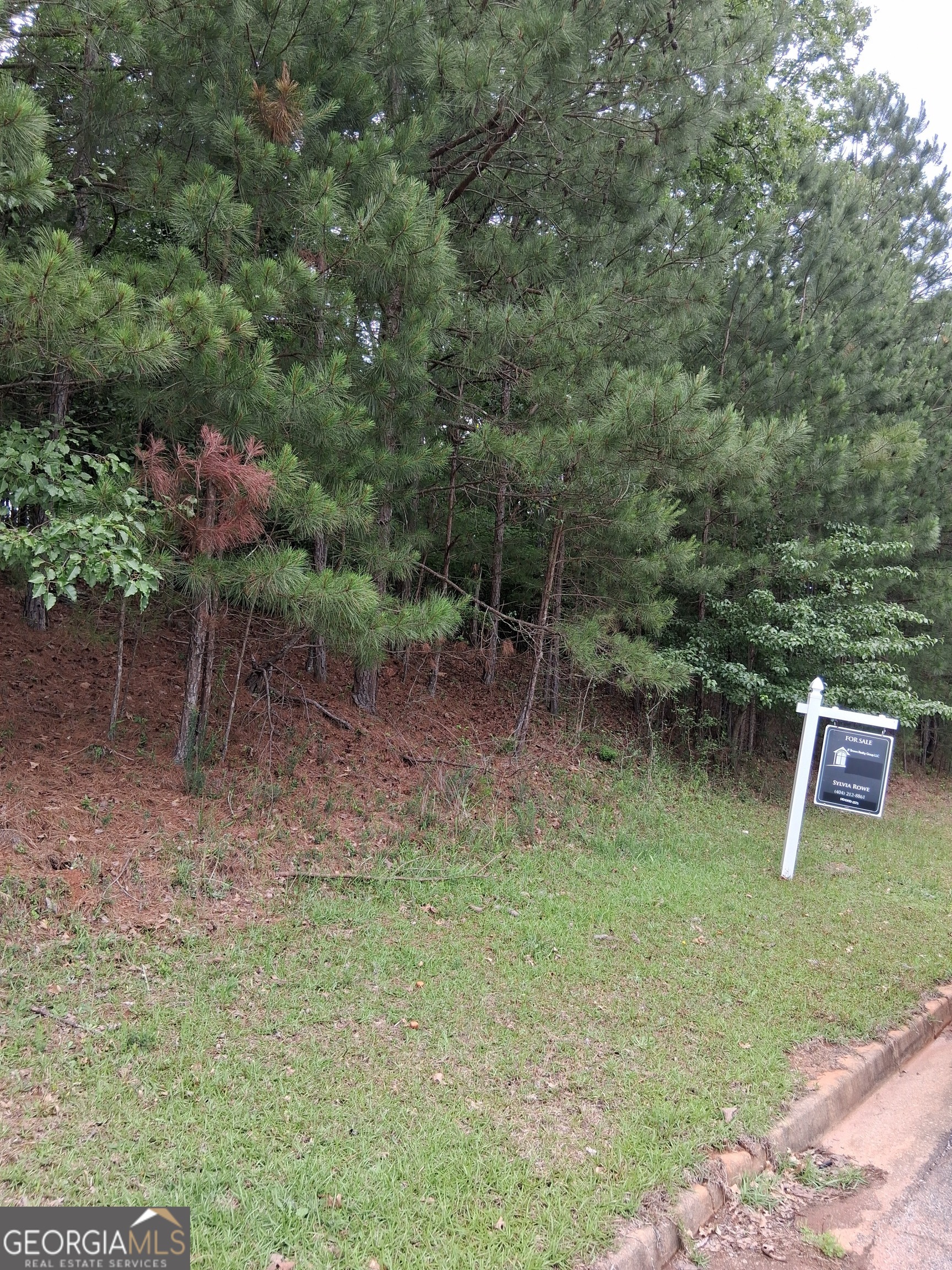 0 Sw Bellevue Drive E Property Photo 1