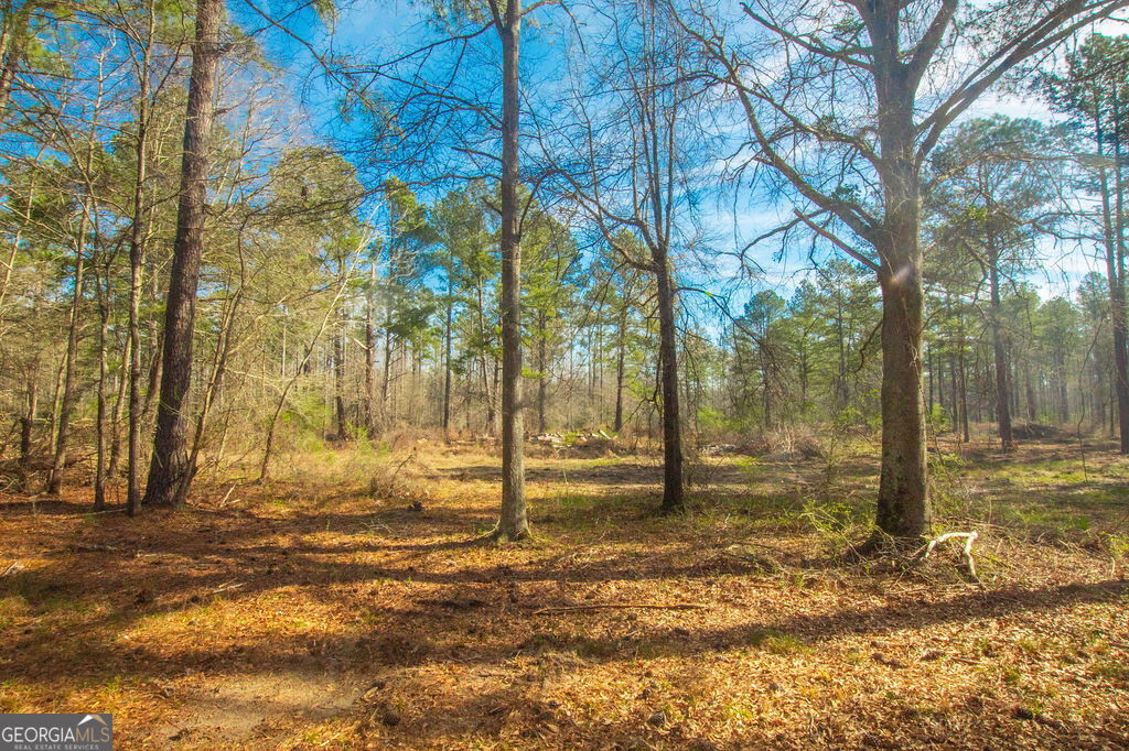 953 Locklin Road Property Photo