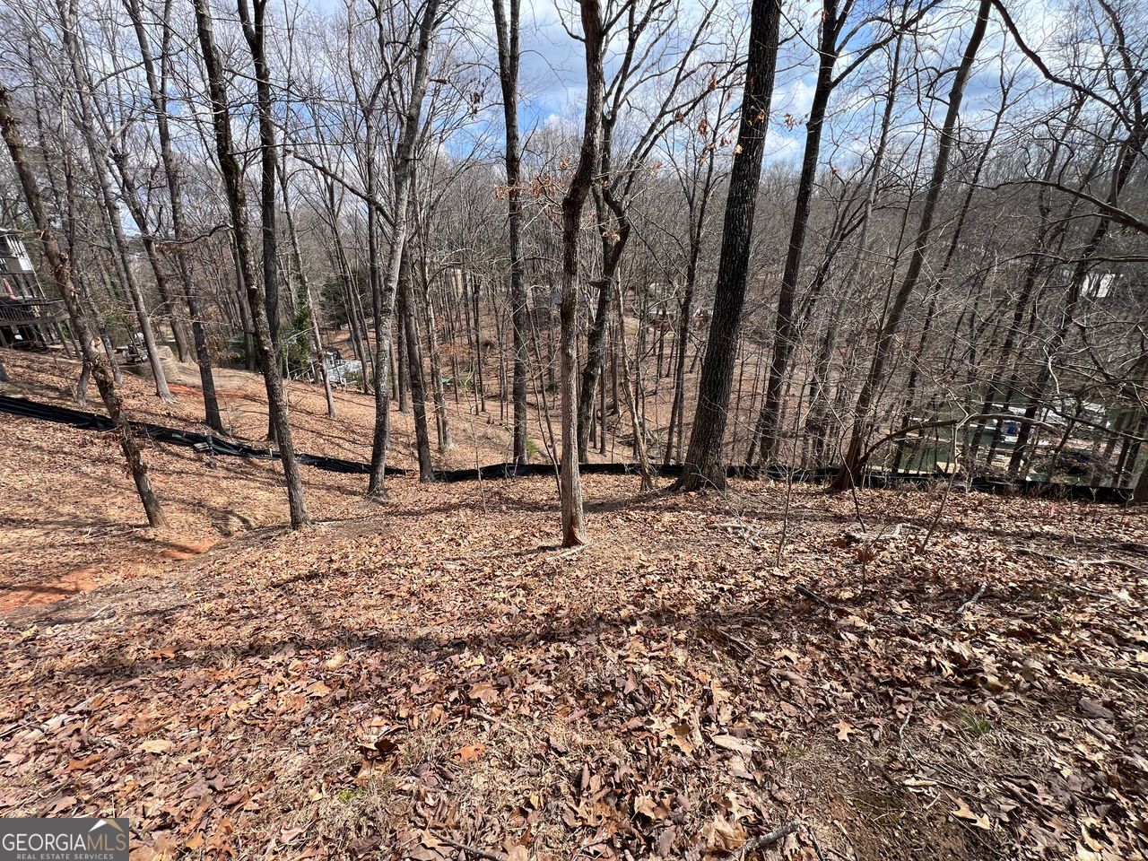 3393 Banks Mountain Drive Property Photo 1
