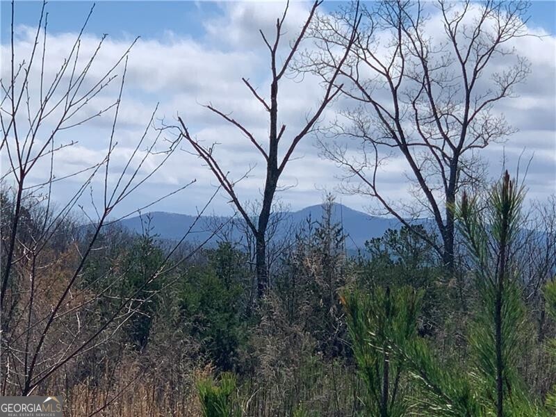 0 Jones Mountain Road Property Photo