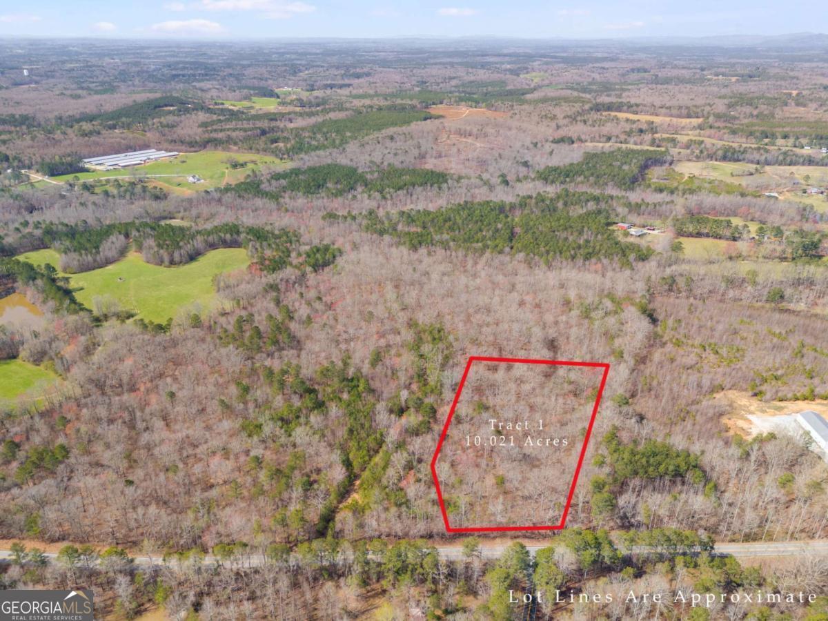 Tract1 Georgia Highway 100 Property Photo 1
