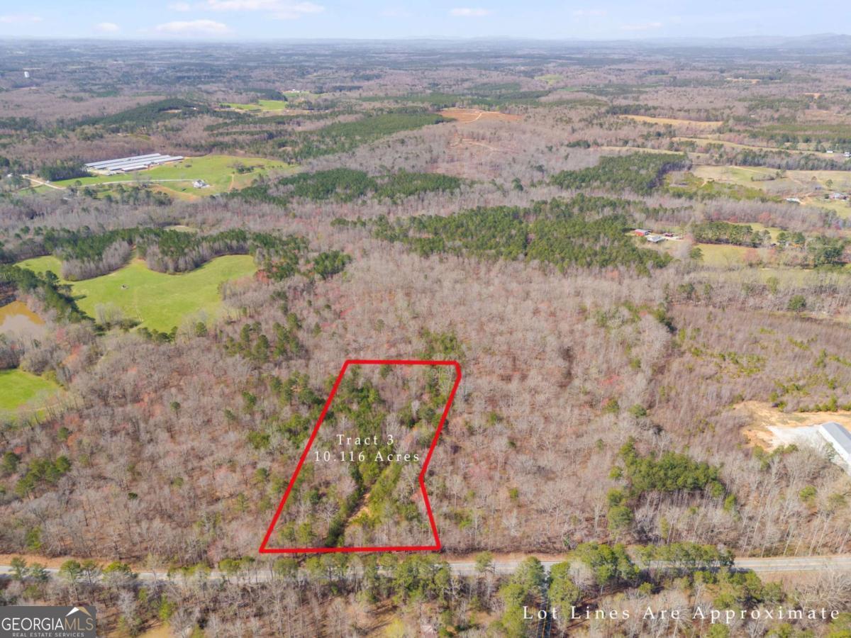 Tract3 Georgia Highway 100 Property Photo 1