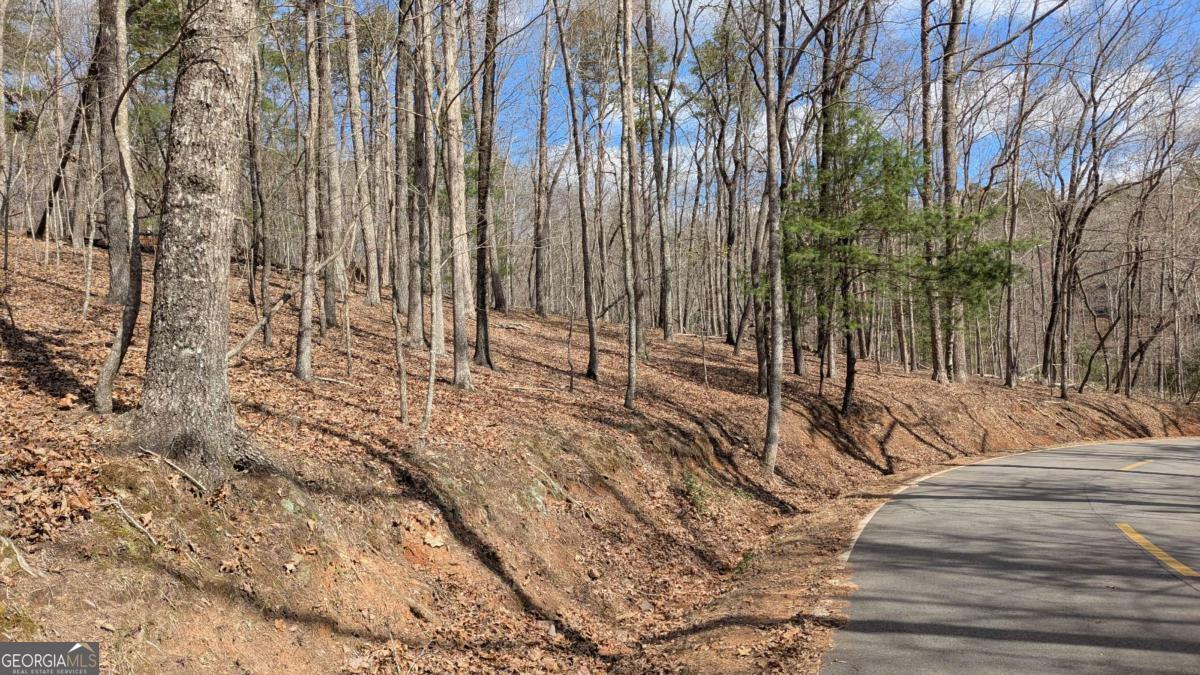 9160 Red Coat Pass Property Photo