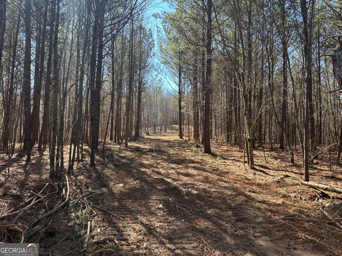 11-/+ Patriot Property Photo 1